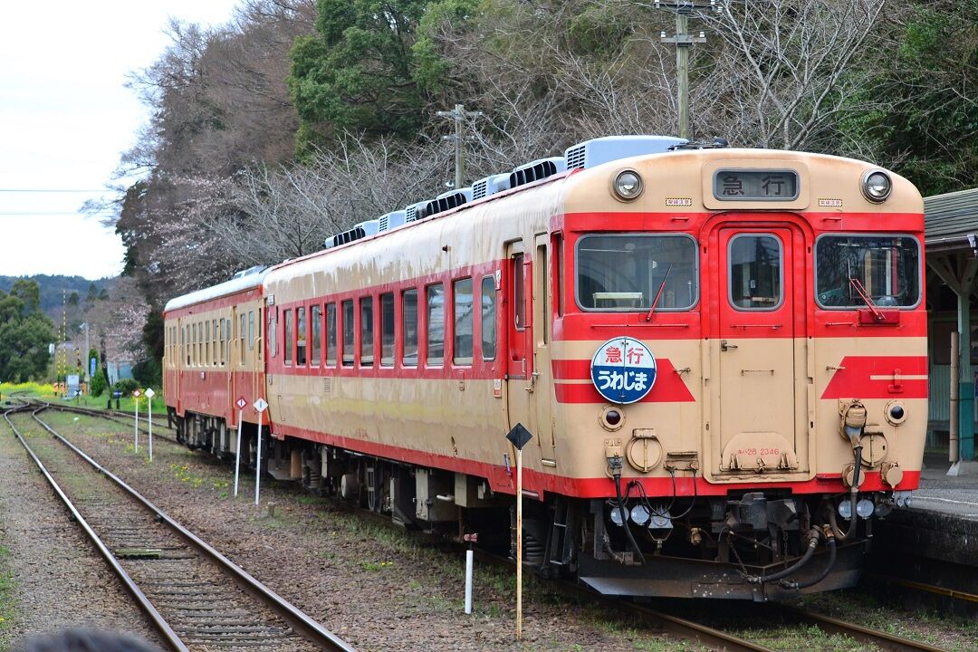愛称板うわじま/いよ　国鉄 いすみ鉄道の”急行「いよ」「うわじま」22年3月末まで延長 JR
