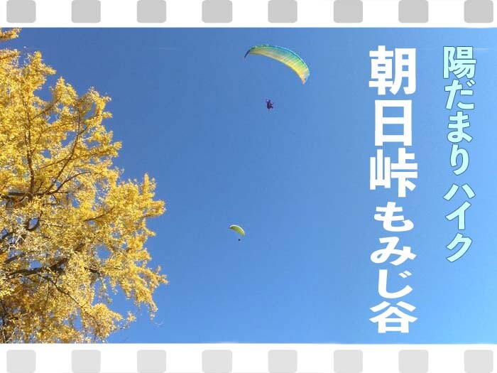 レビュー高評価のおせち贈り物 複音ハーモニカa調特製トンボバンド21穴1521no 1521a 管楽器 吹奏楽器