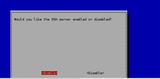 ¥é¥º¥Ñ¥¤SSH2