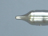 T21-B1