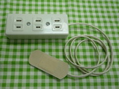 100V¥¨¥Ó¥¹Àµ