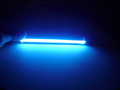 ¥¢¥¤¥¹¥Ö¥ë¡¼¤½¤Î2