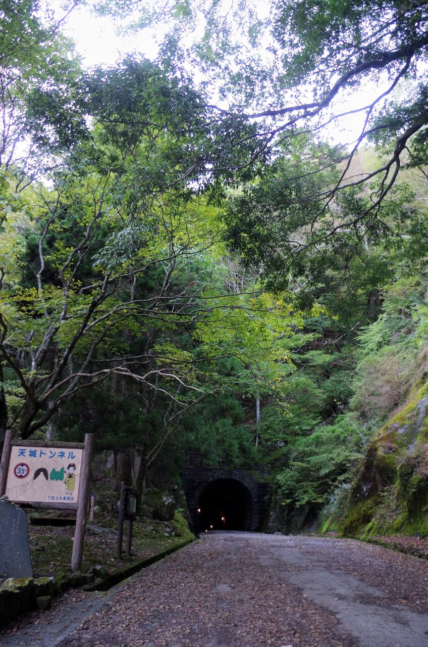 蘭と旅の物語
	  天城峠
	コメント