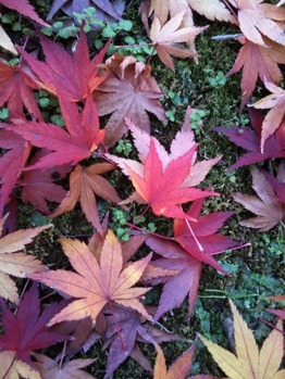photo4