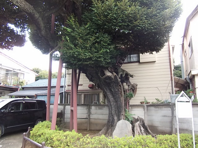 イメージ 3