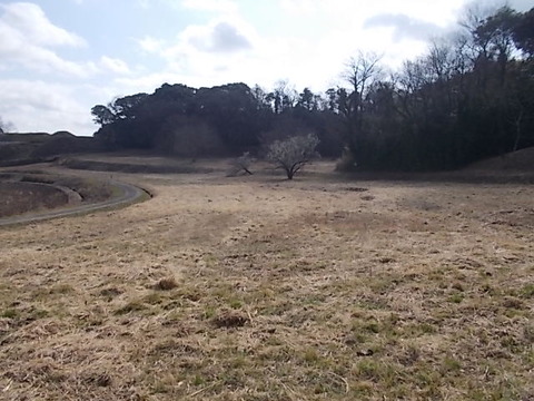 DSCN3049