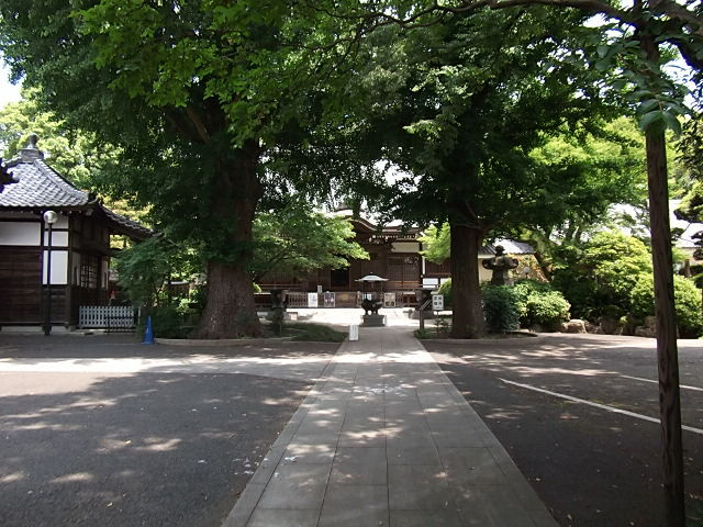 イメージ 6