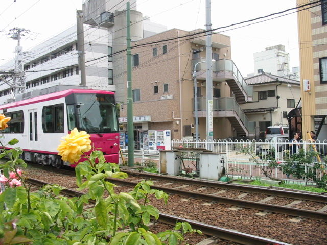 イメージ 5