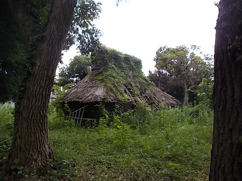 DSCN6518