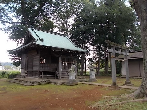 DSCN6542