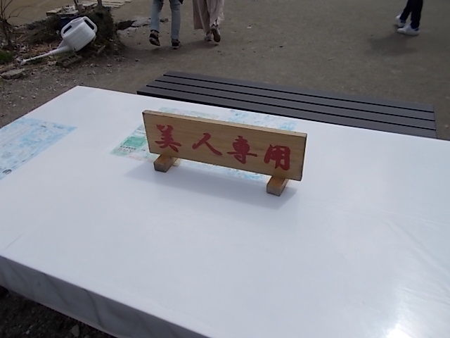 イメージ 7