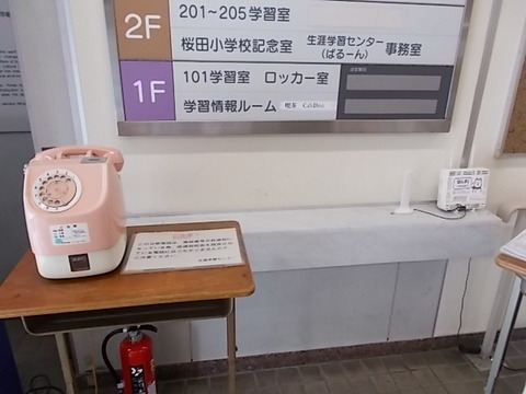 DSCN3089