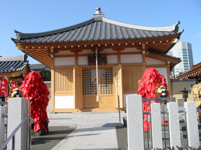 イメージ 6