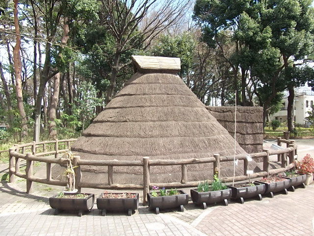 イメージ 8