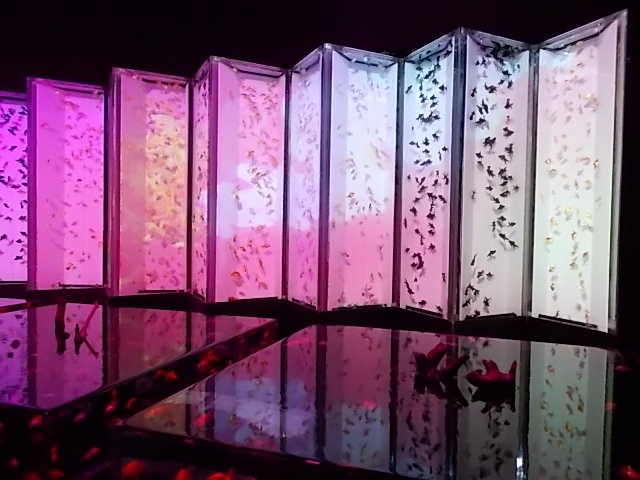 イメージ 10
