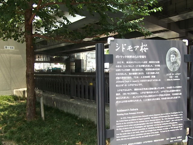 イメージ 6