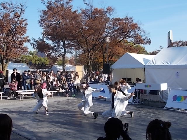 イメージ 16