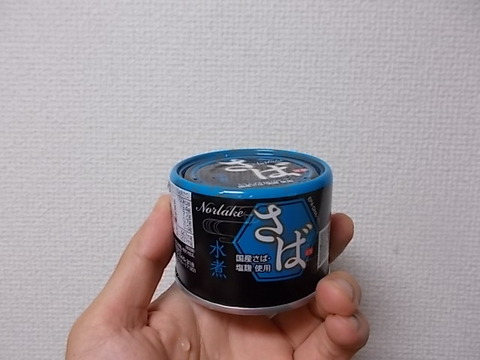 DSCN5623