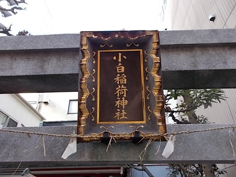 DSCN4702