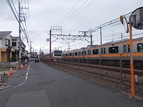 DSCN6592