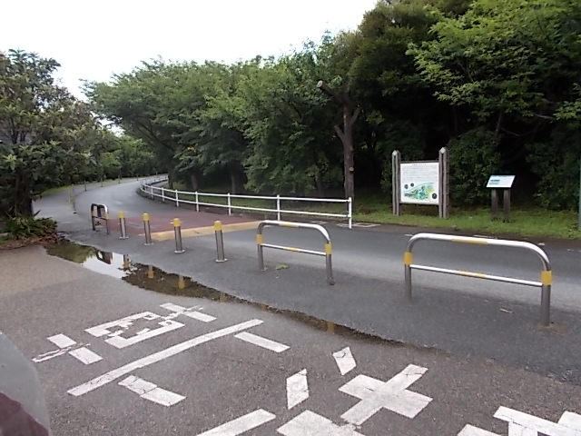 イメージ 3