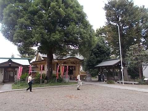DSCN6595
