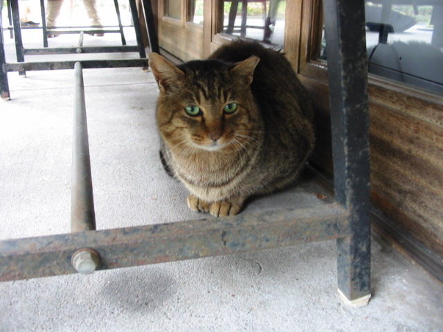 イメージ 1