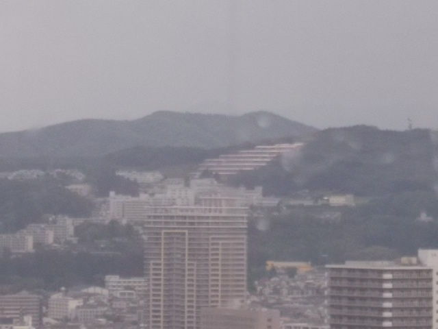 イメージ 5