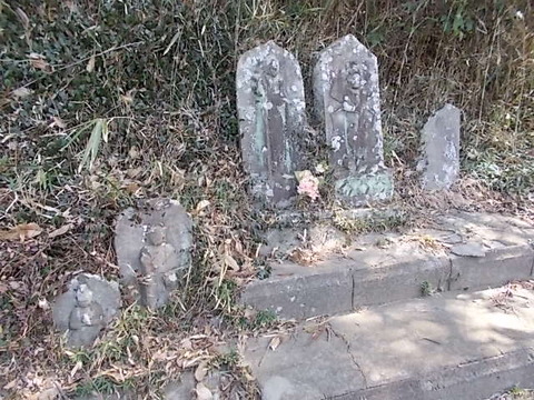 DSCN3110