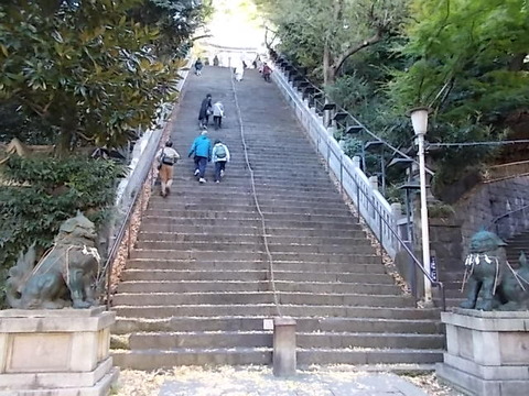 DSCN1526