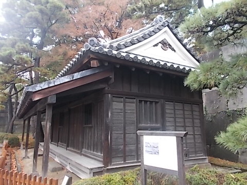 DSCN1771