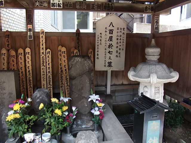 イメージ 6