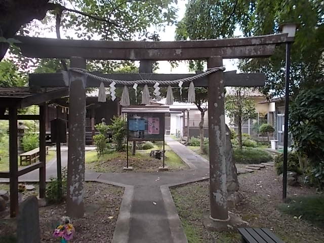 イメージ 12