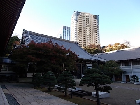 DSCN1519