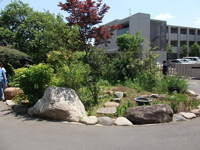 イメージ 7