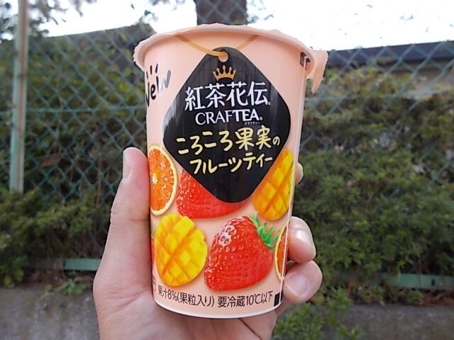 猫が寄ってきた 紅茶花伝クラフティーころころ果実のフルーツティー Estacao Central 避難小屋