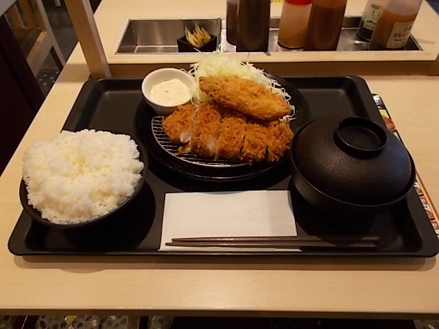 ロースカツサーモンフライ定食 松のや 猫が寄ってきた Estacao Central 避難小屋 ロースカツサーモンフライ定食 松のや 猫が寄ってきた Estacao Central 避難小屋