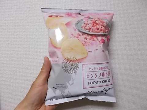 DSCN2738