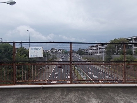 DSCN6499