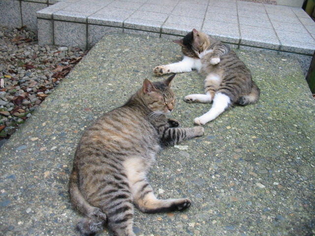 イメージ 3