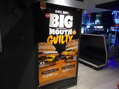 DSCN6380