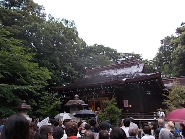 イメージ 15