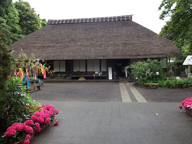 イメージ 3