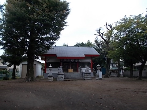 DSCN6703