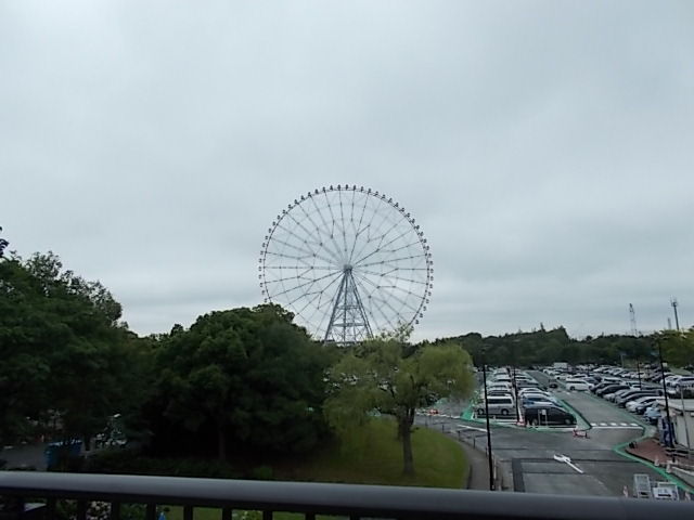 イメージ 1