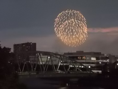 DSCN5325