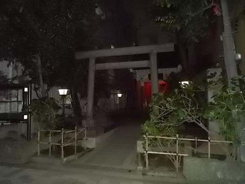 DSCN5917