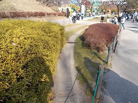 DSCN2145