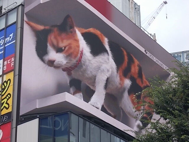 新宿駅東口の大きな猫 思い出横丁の七夕飾り Estacao Central 避難小屋 新宿駅東口の大きな猫 思い出横丁の七夕飾り Estacao Central 避難小屋