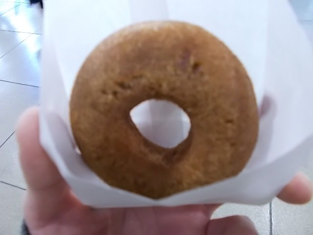 一応最後の高井戸を散歩 Estacao Central 避難小屋